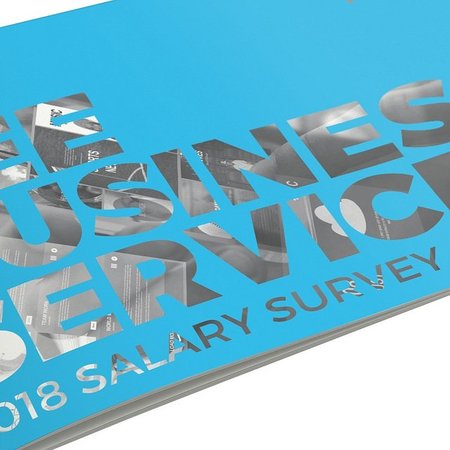 CEE Business Services 2018 Salary Survey 